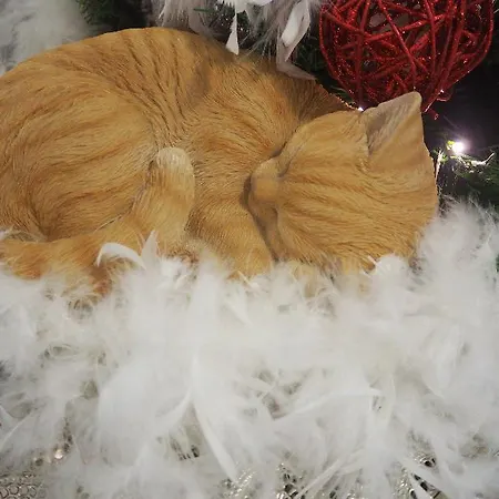 Terrace Special For Groups Up To 19 Guests 4* ליסבון